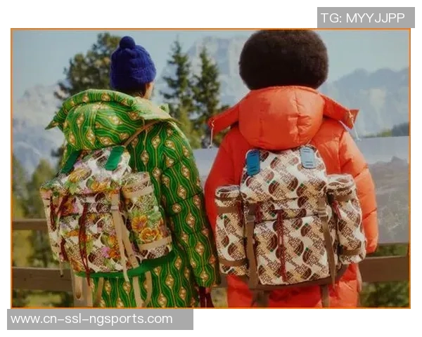 探索北面品牌的运动装备创新与户外探险精神的完美结合